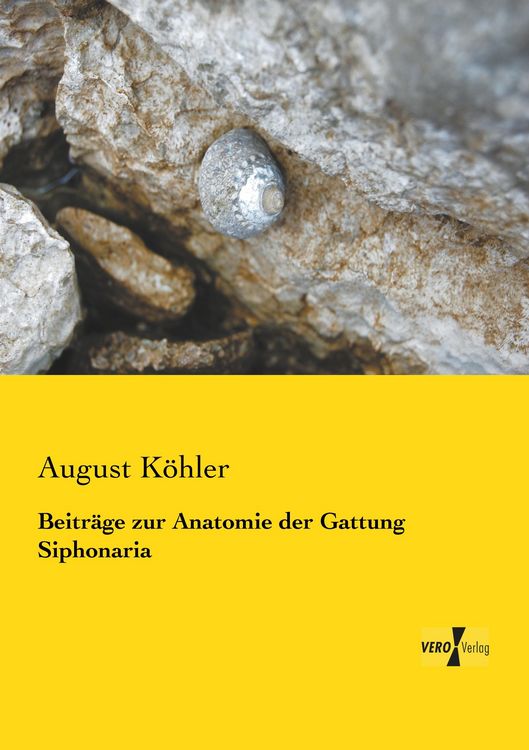 Produktbild: Beitr&auml;ge zur Anatomie der Gattung Siphonaria
