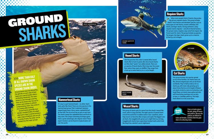 Produktbild: The Ultimate Book of Sharks