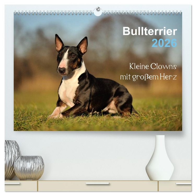Produktbild: Bullterrier 2026 - Kleine Clowns mit gro&szlig;em Herz (hochwertiger Premium Wandkalender 2026 DIN A2 quer), Kunstdruck in Hochglanz