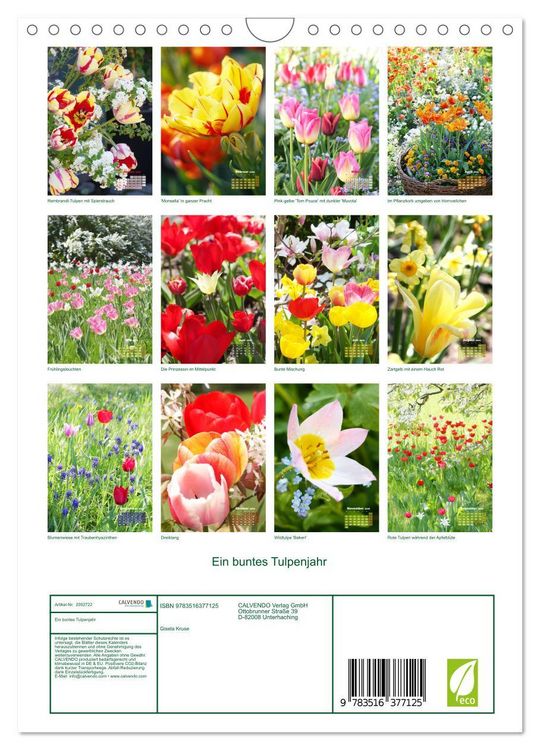 Produktbild: Ein buntes Tulpenjahr (Wandkalender 2026 DIN A4 hoch), CALVENDO Monatskalender