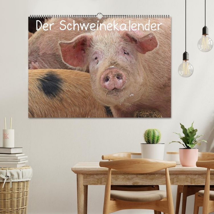 Produktbild: Der Schweinekalender (Wandkalender 2026 DIN A2 quer), CALVENDO Monatskalender