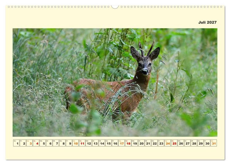 Produktbild: Tierwelt der W&uuml;mmeniederung (hochwertiger Premium Wandkalender 2027 DIN A2 quer), Kunstdruck in Hochglanz