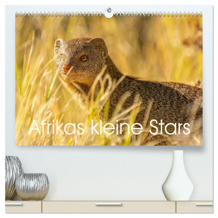 Produktbild: Afrikas kleine Stars (hochwertiger Premium Wandkalender 2026 DIN A2 quer), Kunstdruck in Hochglanz