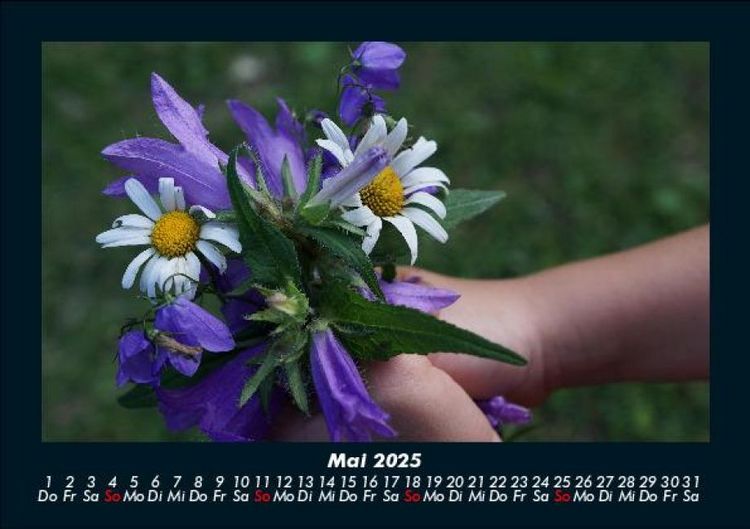 Produktbild: Pflanzen und Bl&uuml;ten 2025 Fotokalender DIN A5