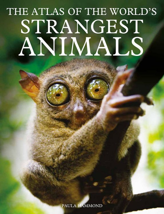Produktbild: The Atlas of The World's Strangest Animals