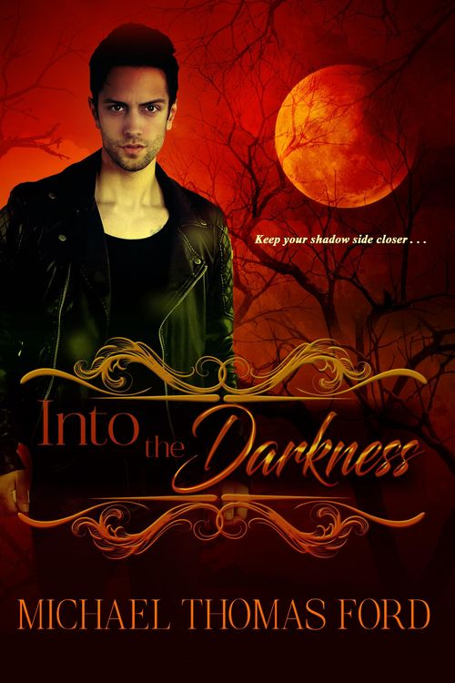 Produktbild: Into the Darkness
