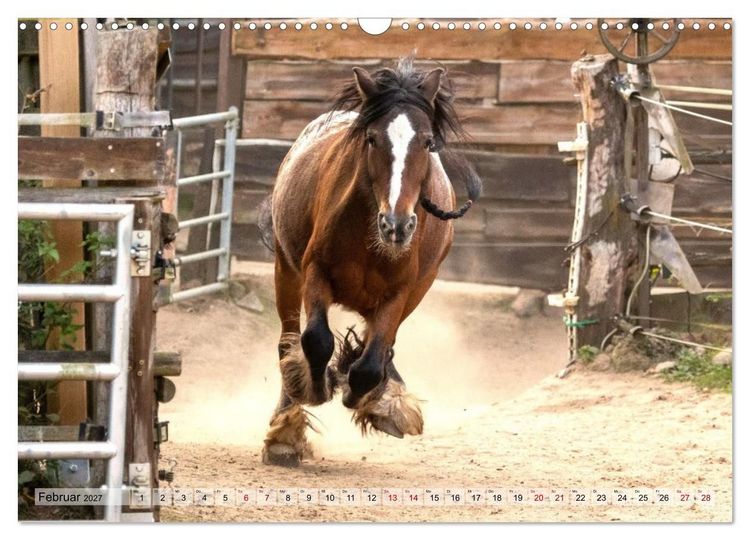 Produktbild: Colorful Horse Ranch &ndash; Wo Tinker posen und Ponys l&auml;cheln (Wandkalender 2027 DIN A3 quer), CALVENDO Monatskalender