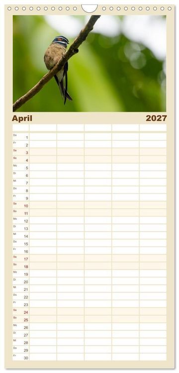 Produktbild: Familienplaner 2027 - Zwischen Nebel und Baumriesen - V&ouml;gel Borneos mit 5 Spalten (Wandkalender, 21 x 45 cm) CALVENDO