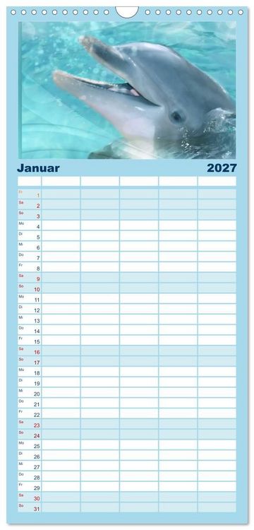 Produktbild: Familienplaner 2027 - Delfine - Kalender mit 5 Spalten (Wandkalender, 21 x 45 cm) CALVENDO