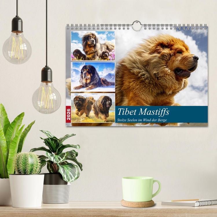 Produktbild: Tibet Mastiffs. Stolze Seelen im Wind der Berge (Wandkalender 2026 DIN A4 quer), CALVENDO Monatskalender