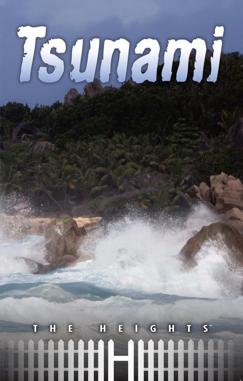 Produktbild: Tsunami
