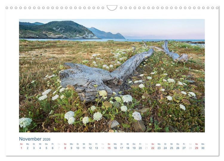 Produktbild: Korsika 2026 (Wandkalender 2026 DIN A3 quer), CALVENDO Monatskalender