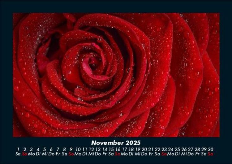 Produktbild: Rosentraum 2025 Fotokalender DIN A5