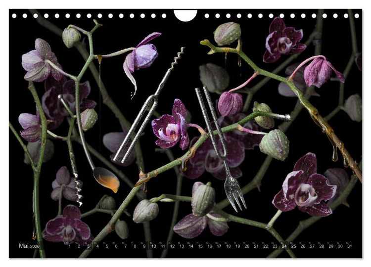 Produktbild: Musica fant&aacute;sia - Die wundersame Welt des Fotok&uuml;nstlers Olaf Bruhn (Wandkalender 2026 DIN A4 quer), CALVENDO Monatskalender