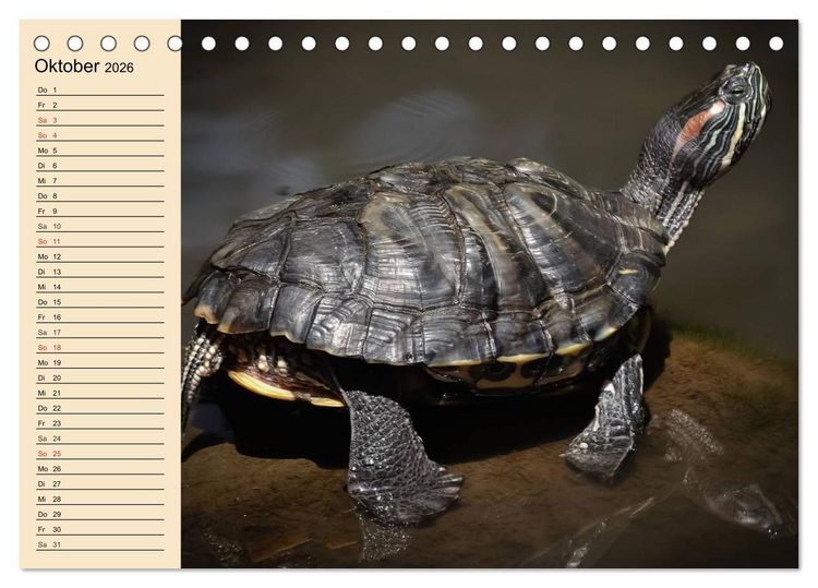 Produktbild: Reptilien. Schlangen, Echsen und Co. (Tischkalender 2026 DIN A5 quer), CALVENDO Monatskalender