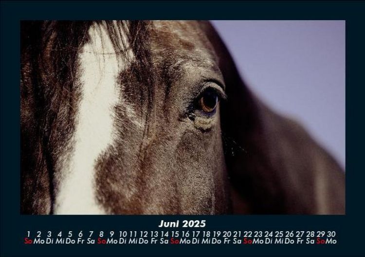 Produktbild: Die Welt der Pferde 2025 Fotokalender DIN A5