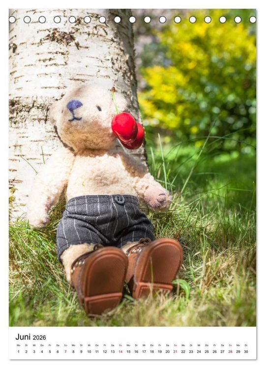 Produktbild: Teddyb&auml;ren Abenteuer - Zu Hause und Unterwegs (Tischkalender 2026 DIN A5 hoch), CALVENDO Monatskalender
