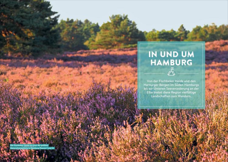 Produktbild: Mystische Pfade L&uuml;neburger Heide