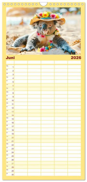 Produktbild: Familienplaner 2026 - Koalas im Modefieber. Flauschig und Chic beim Fotoshooting mit 5 Spalten (Wandkalender, 21 x 45 cm) CALVENDO