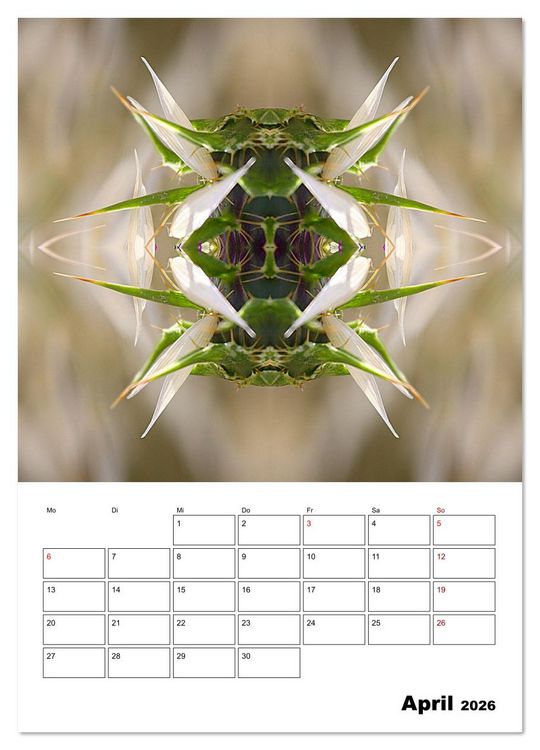 Produktbild: Fotokunst und Natur 2026 (Wandkalender 2026 DIN A4 hoch), CALVENDO Monatskalender