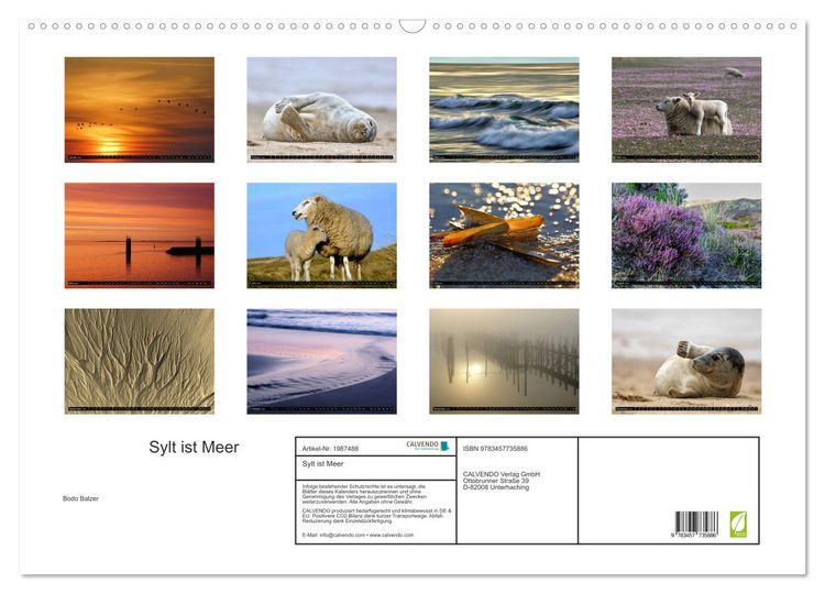 Produktbild: Sylt ist Meer (Wandkalender 2026 DIN A2 quer), CALVENDO Monatskalender