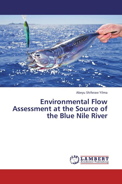 Produktbild: Environmental Flow Assessment at the Source of the Blue Nile River