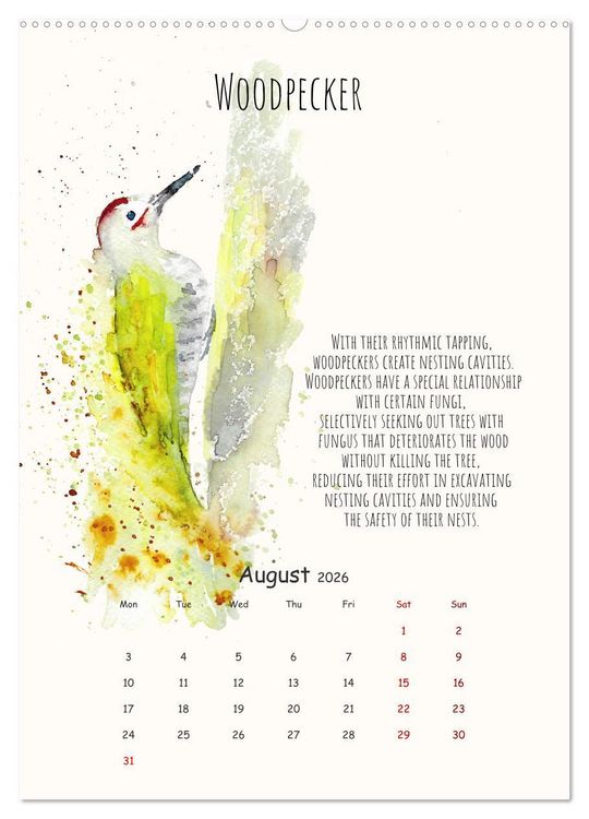 Produktbild: Symbiosis, the story of collaborations in nature (Wall Calendar 2026 DIN A2 portrait), CALVENDO 12 Month Wall Calendar