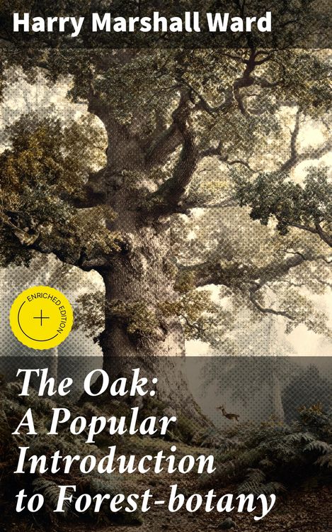 Produktbild: The Oak: A Popular Introduction to Forest-botany
