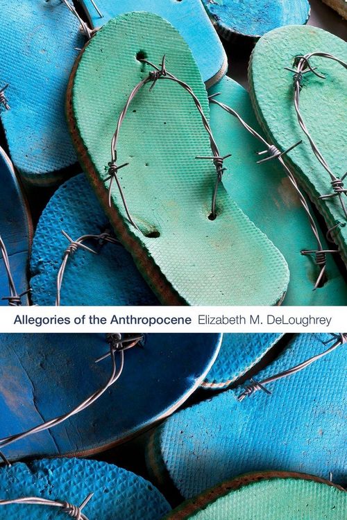 Produktbild: Allegories of the Anthropocene