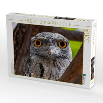 Produktbild: CALVENDO Puzzle Eulenschwalm (Podargus strigoides) | 1000 Teile Lege-Gr&ouml;&szlig;e 64x48cm Foto-Puzzle f&uuml;r gl&uuml;ckliche Stunden