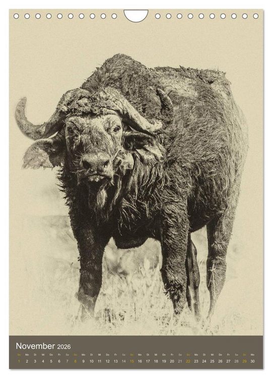 Produktbild: Afrikas Tierwelt - Sepia-Art (Wandkalender 2026 DIN A4 hoch), CALVENDO Monatskalender