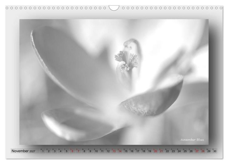 Produktbild: Foto-Art-Natur (Wandkalender 2027 DIN A3 quer), CALVENDO Monatskalender