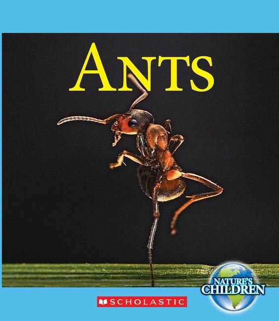 Produktbild: Ants (Nature's Children)