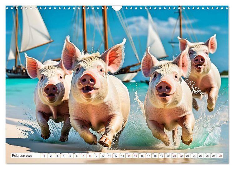 Produktbild: Schwimmende Schweine im Paradies (Wandkalender 2026 DIN A3 quer), CALVENDO Monatskalender