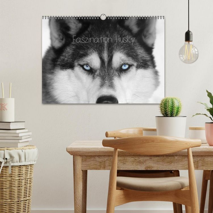Produktbild: Faszination Husky (Wandkalender 2026 DIN A3 quer), CALVENDO Monatskalender