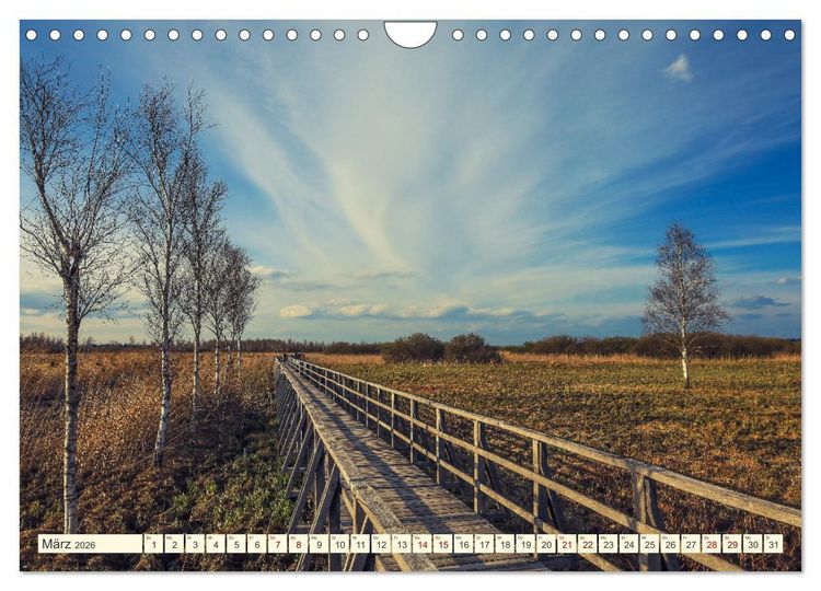 Produktbild: Moor und Riedlandschaften im S&uuml;dwesten (Wandkalender 2026 DIN A4 quer), CALVENDO Monatskalender