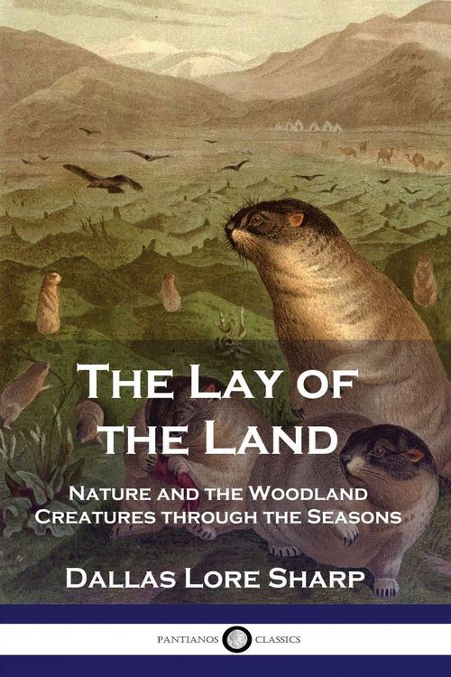 Produktbild: The Lay of the Land