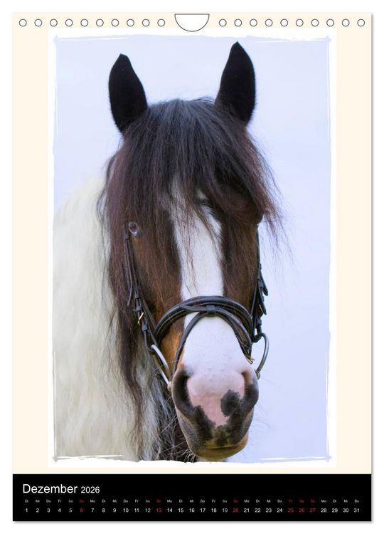 Produktbild: Gypsy's (Wandkalender 2026 DIN A4 hoch), CALVENDO Monatskalender