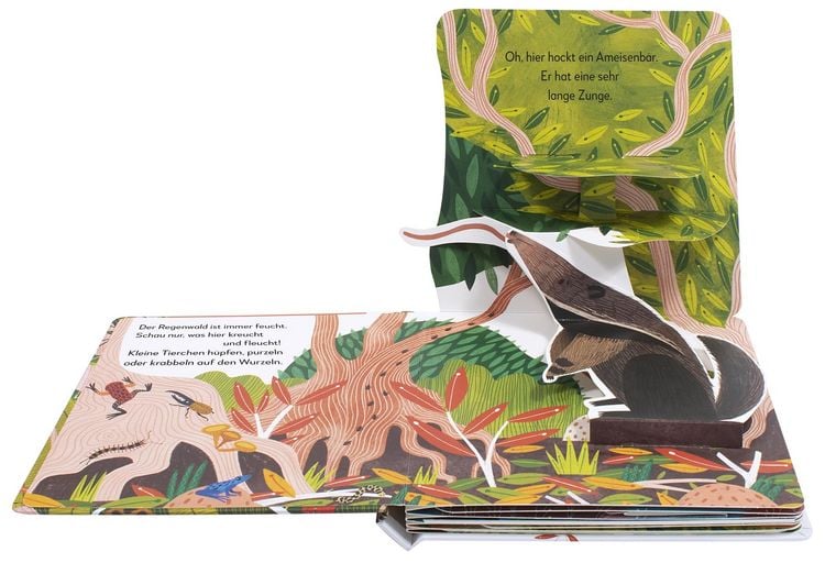 Produktbild: Mein Pop-up-Buch zum Staunen. Wer lebt im Regenwald?