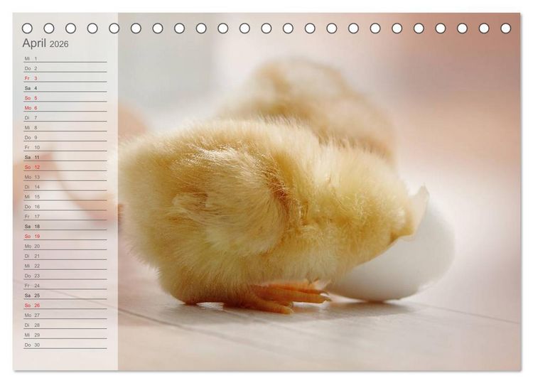 Produktbild: K&uuml;ken in der Kinderstube Terminplaner (Tischkalender 2026 DIN A5 quer), CALVENDO Monatskalender