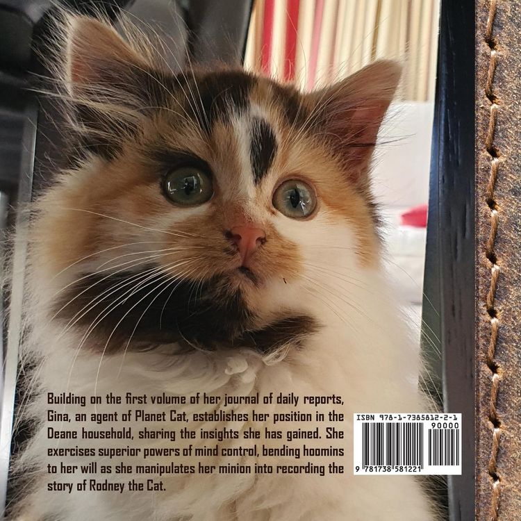 Produktbild: The Journal of Agent Gina Ginger Knickers, Phase Two