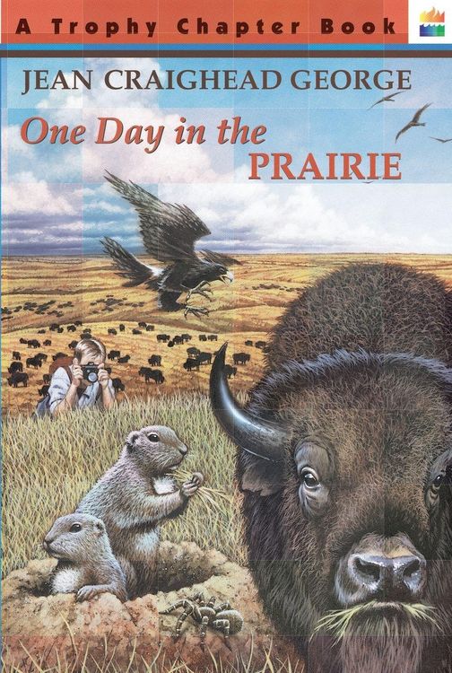 Produktbild: One Day in the Prairie