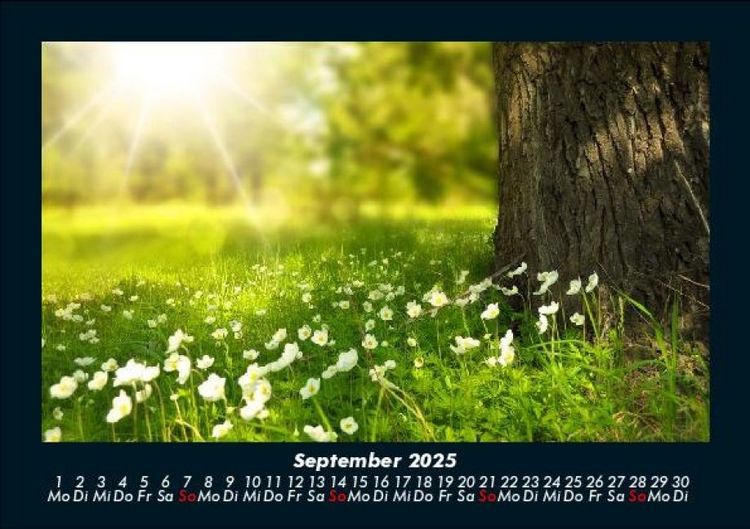 Produktbild: Blumentr&auml;ume 2025 Fotokalender DIN A5