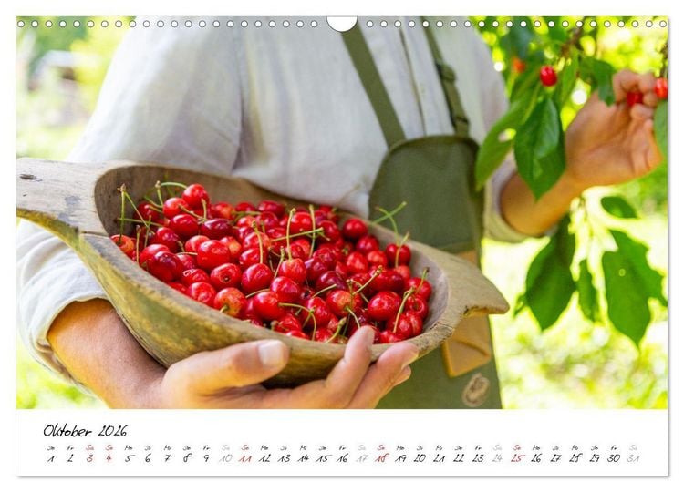 Produktbild: Kirschen aus dem Garten &ndash; Erntekalender (Wandkalender 2026 DIN A3 quer), CALVENDO Monatskalender