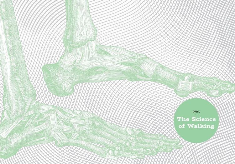Produktbild: The Art of Walking