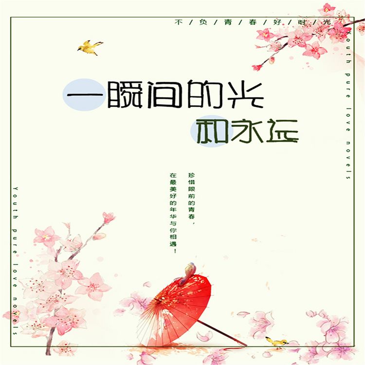 Produktbild: 一瞬的光和永远