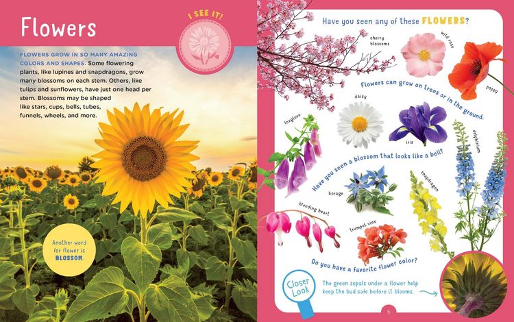 Produktbild: Publishing, E: Backpack Explorer: Discovering Plants and Flo