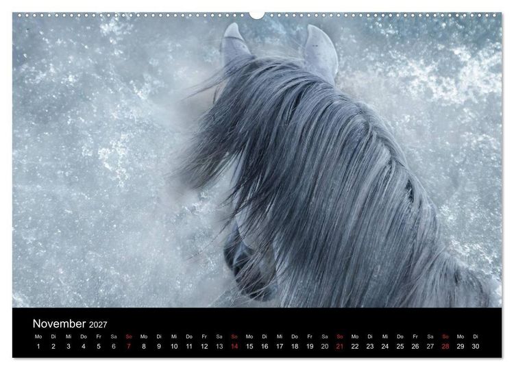 Produktbild: Pferde zum Tr&auml;umen (Wandkalender 2027 DIN A2 quer), CALVENDO Monatskalender