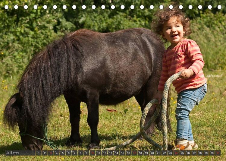 Produktbild: Pferd und Mensch in Harmonie (Tischkalender 2022 DIN A5 quer)