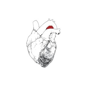 Produktbild: The Beggar (Ltd. 2LP+MP3)
